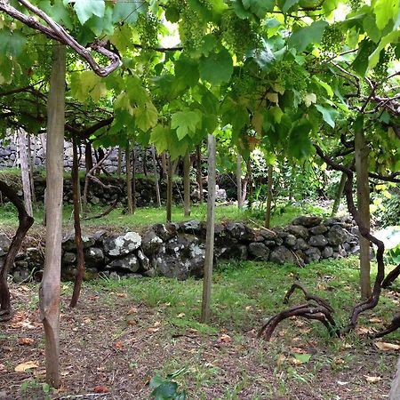 São Vicente Holidays Madeira מראה חיצוני תמונה
